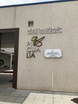 スペインのオリーブオイル生産企業　ピクアリア社